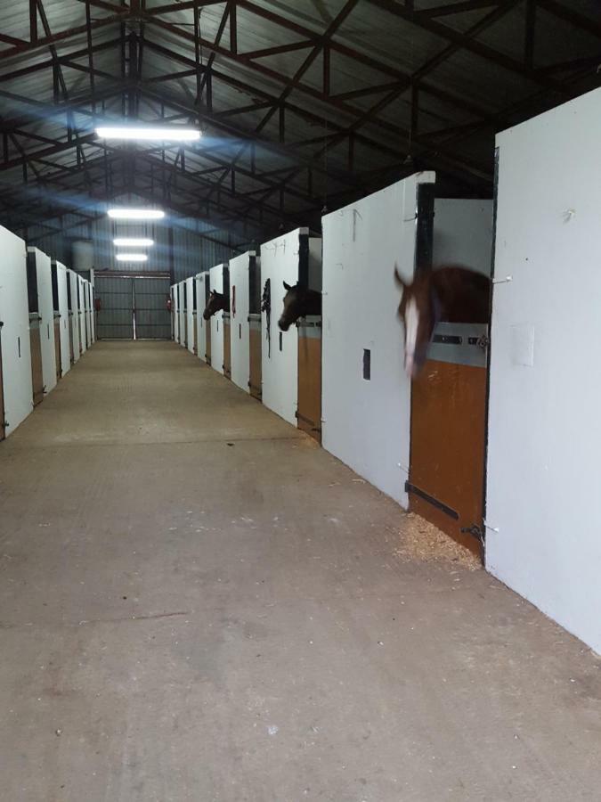 Prosper Stud Guest House Robertson Luaran gambar